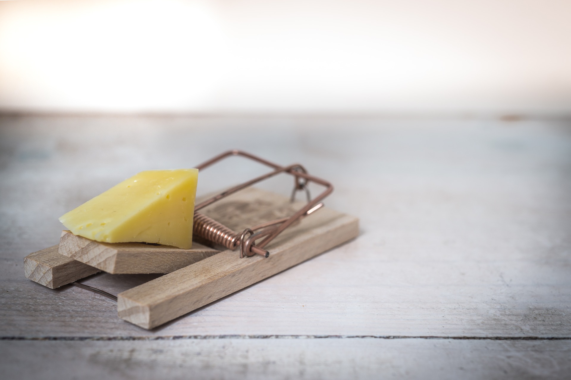3 Different Types Of Pest Control Methods