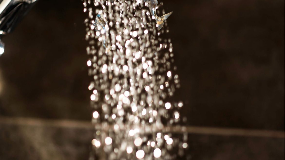 A Showerhead For Every Need: How To Choose The Right One For Your Bathroom